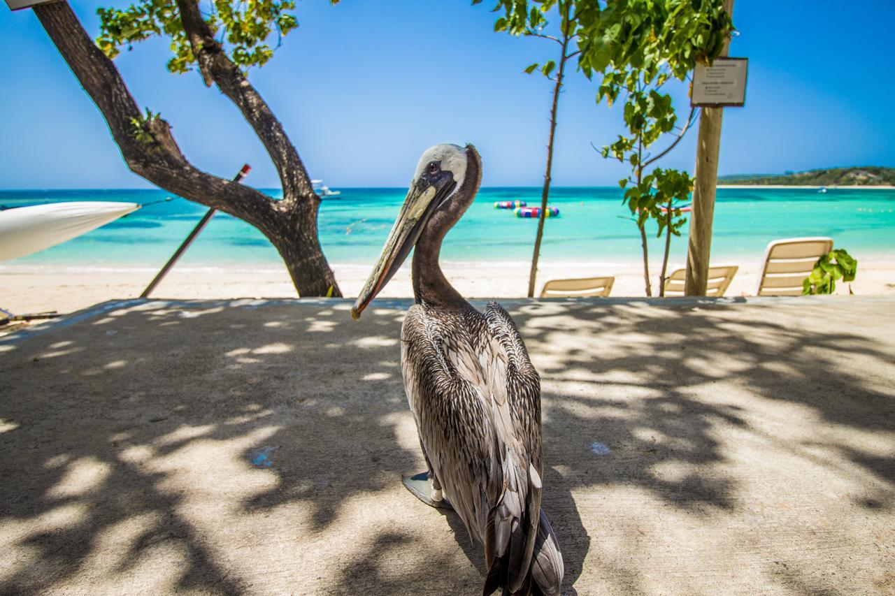 Paradise Island Beach Resort Punta Rucia Buitenkant foto